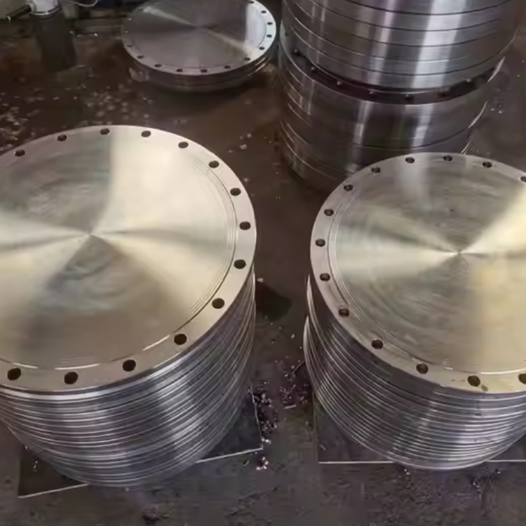 Custom Large Diameter Plate Blind Flange Pipe Fittings Stub Welding Plate Flange