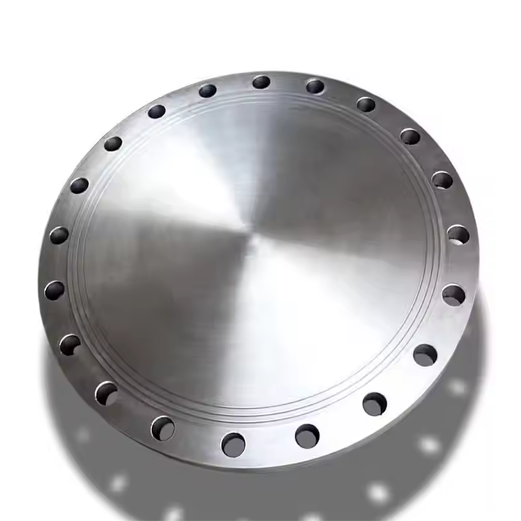 Custom Large Diameter Plate Blind Flange Pipe Fittings Stub Welding Plate Flange